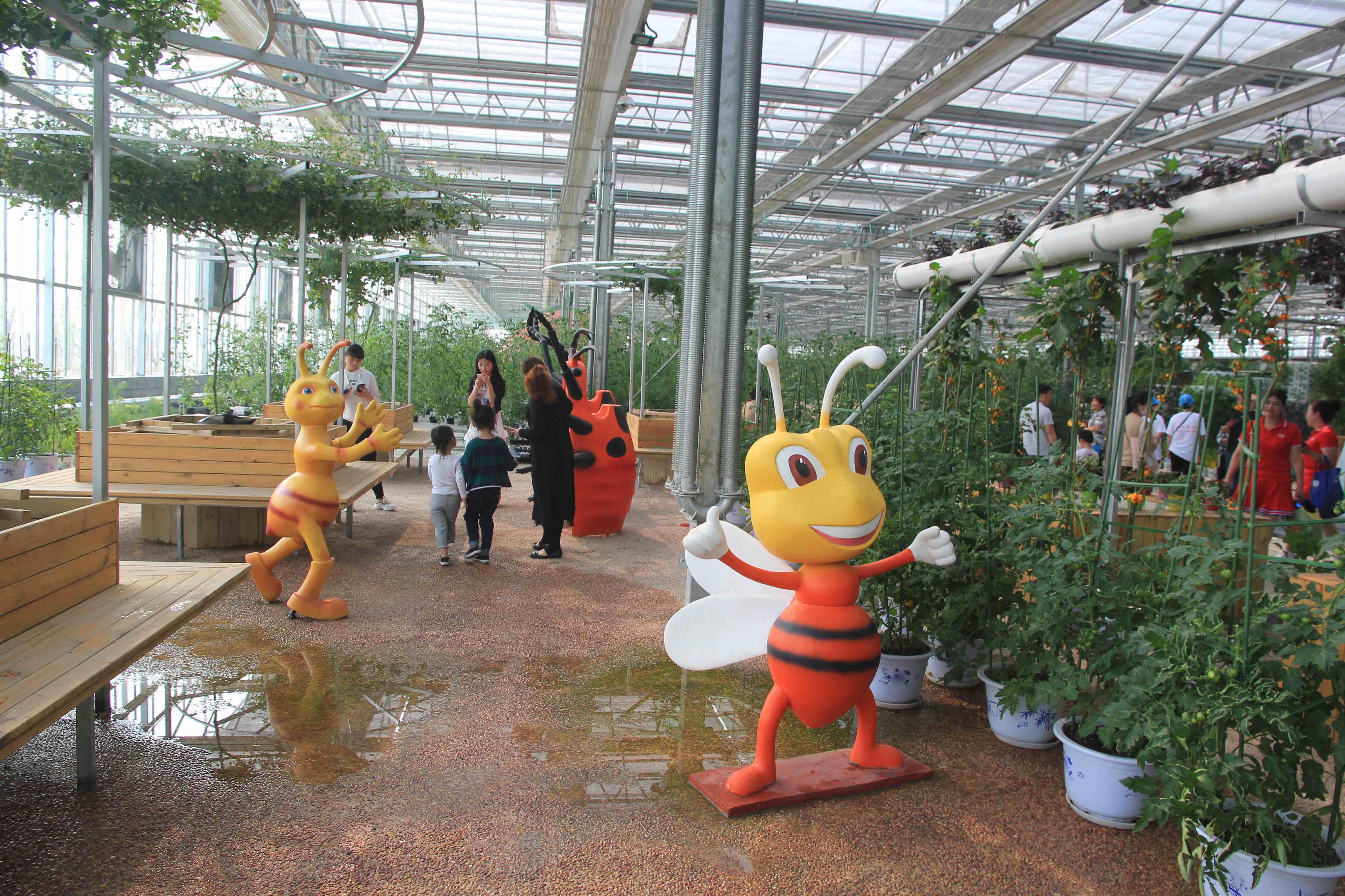 �����ֵ��� �����ֵ���