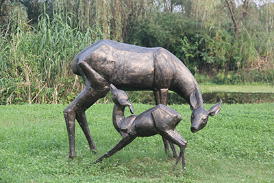 �����ֵ�������Щ����������