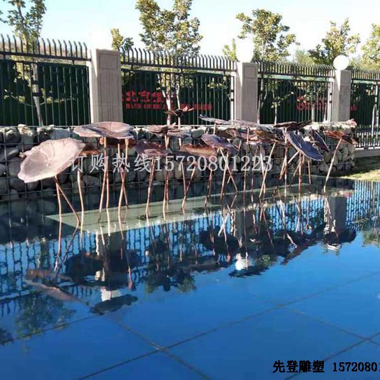 ԰��ˮ��������ƹ����