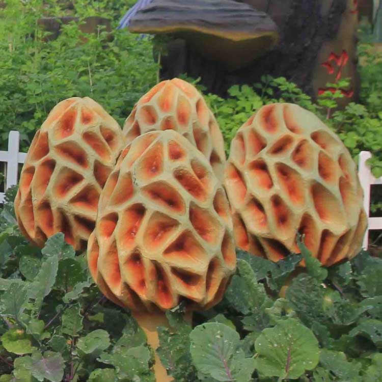 ��������ʱ�����ѡ����ϣ�