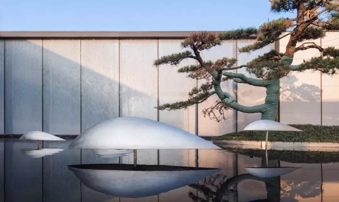 У԰���۵�����Ƹ�����������μ���ѧ���ǵĴ����������?